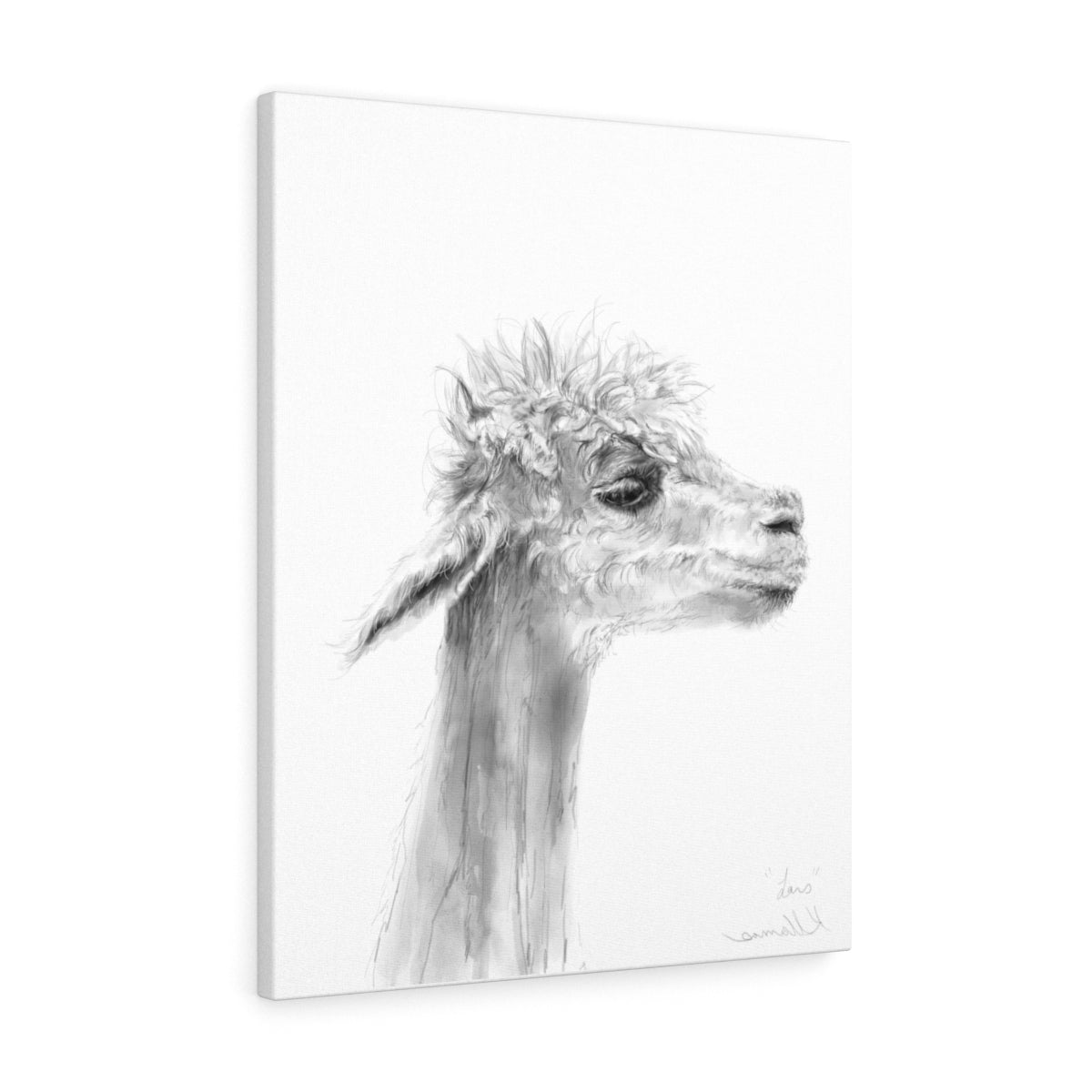 LARS Llama - Art Canvas