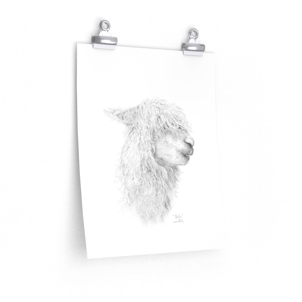 BAILIE Llama- Art Paper Print