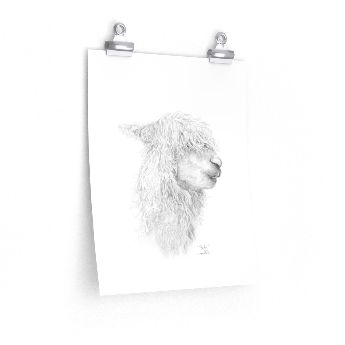 BAILIE Llama- Art Paper Print