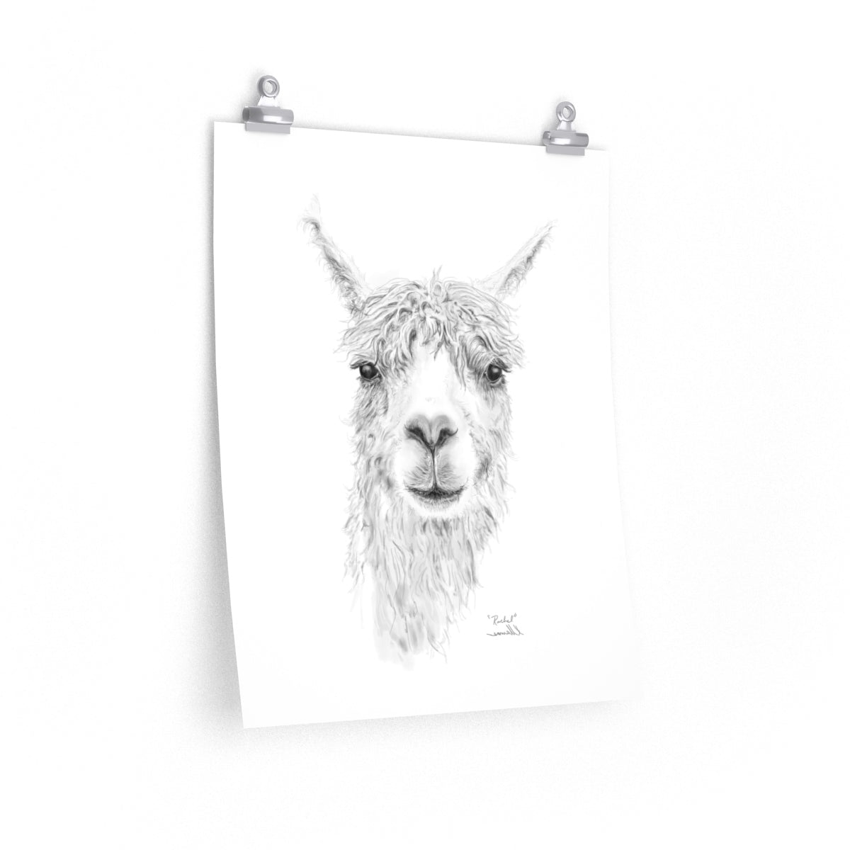 RACHEL Llama- Art Paper Print