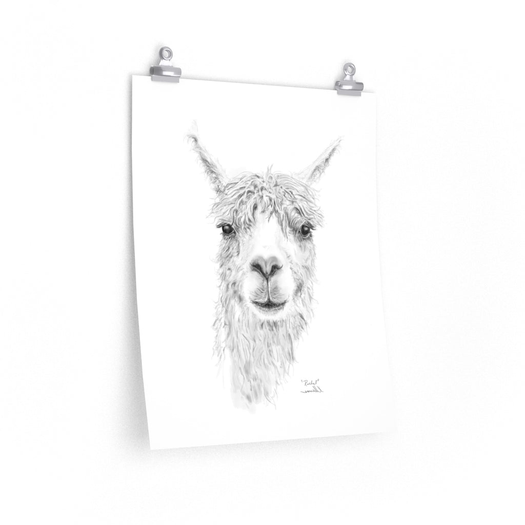 RACHEL Llama- Art Paper Print