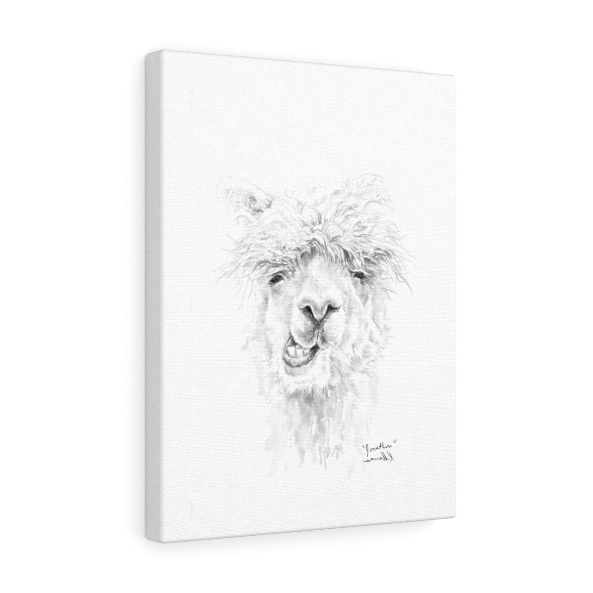 JONATHON Llama - Art Canvas