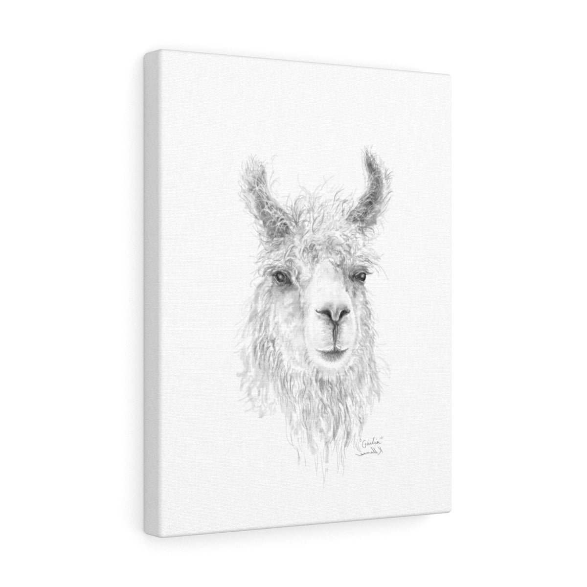 GIULIA Llama - Art Canvas
