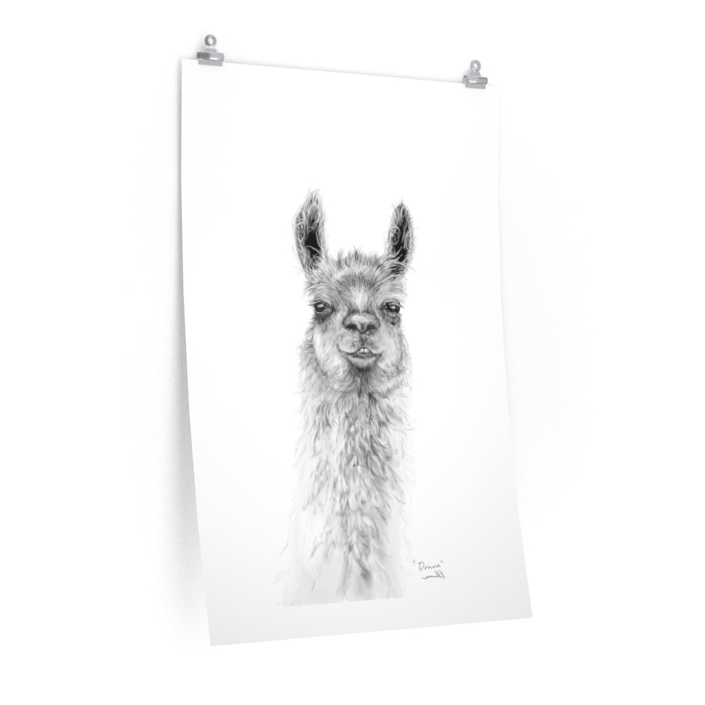 DONNA Llama- Art Paper Print