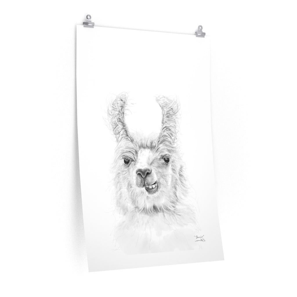 DENNIS Llama- Art Paper Print