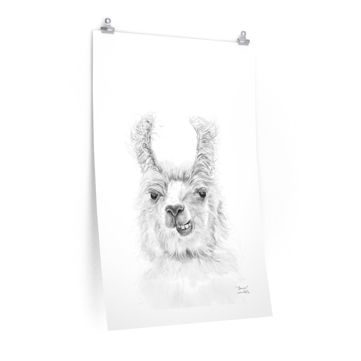 DENNIS Llama- Art Paper Print