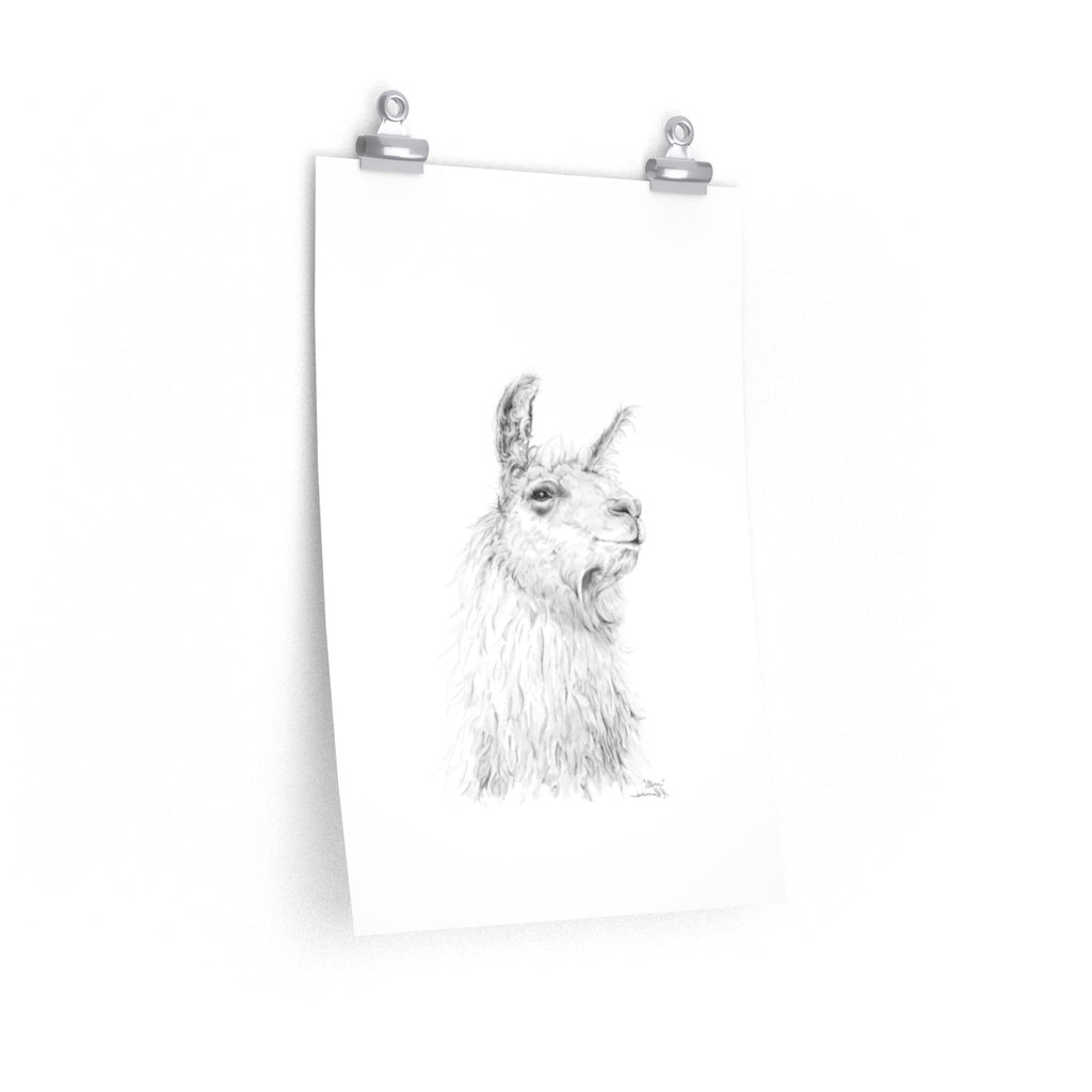 STEVE Llama- Art Paper Print