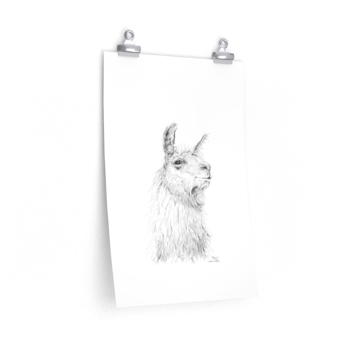 STEVE Llama- Art Paper Print