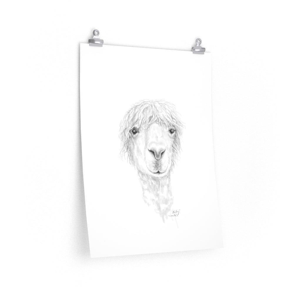 MARLEY Llama- Art Paper Print