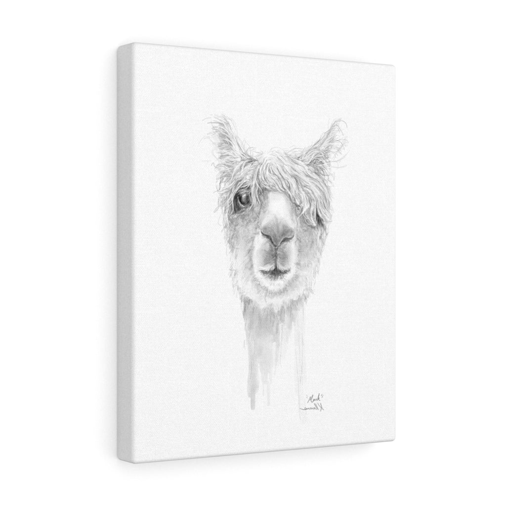 MARK Llama - Art Canvas