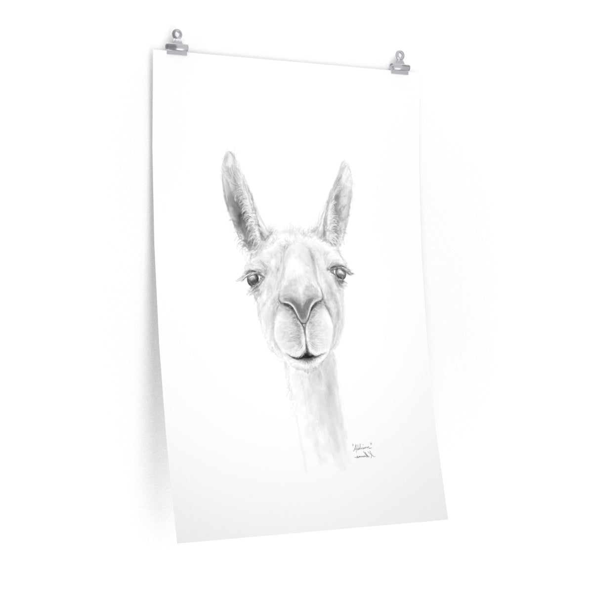 ADDISON Llama- Art Paper Print