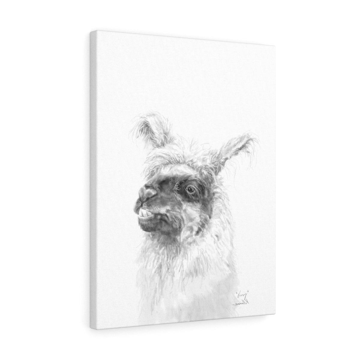 KERRY Llama - Art Canvas