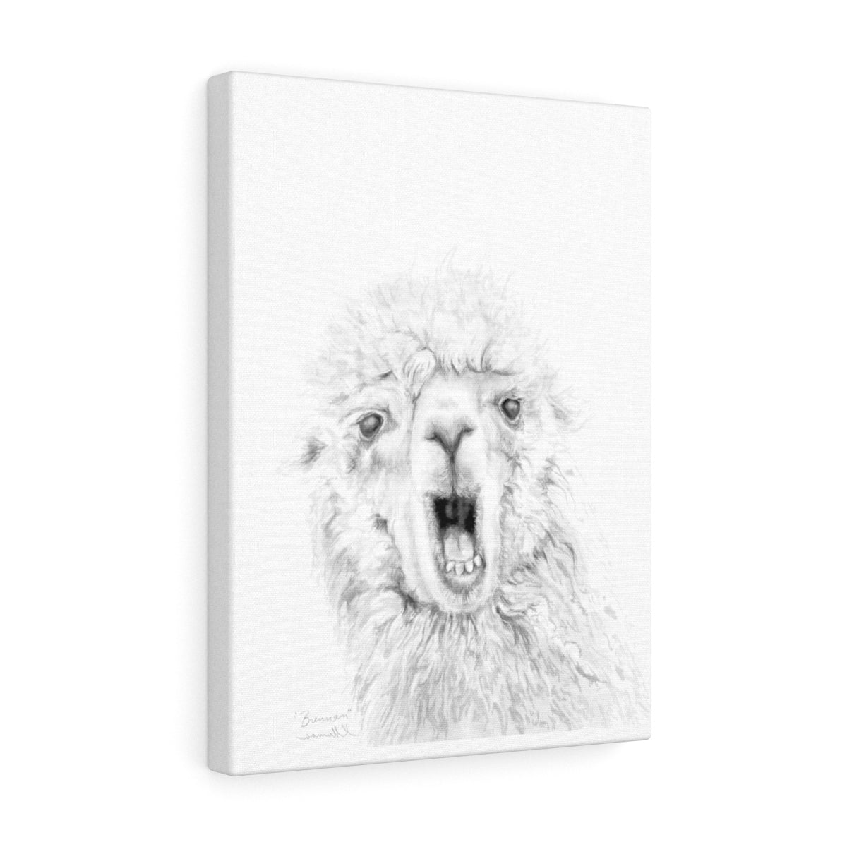 BRENNAN Llama - Art Canvas