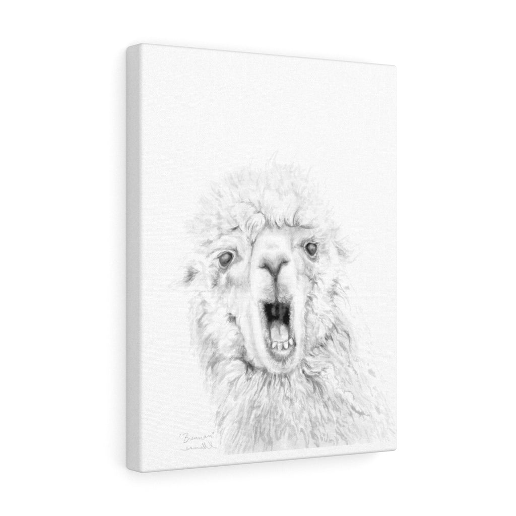 BRENNAN Llama - Art Canvas
