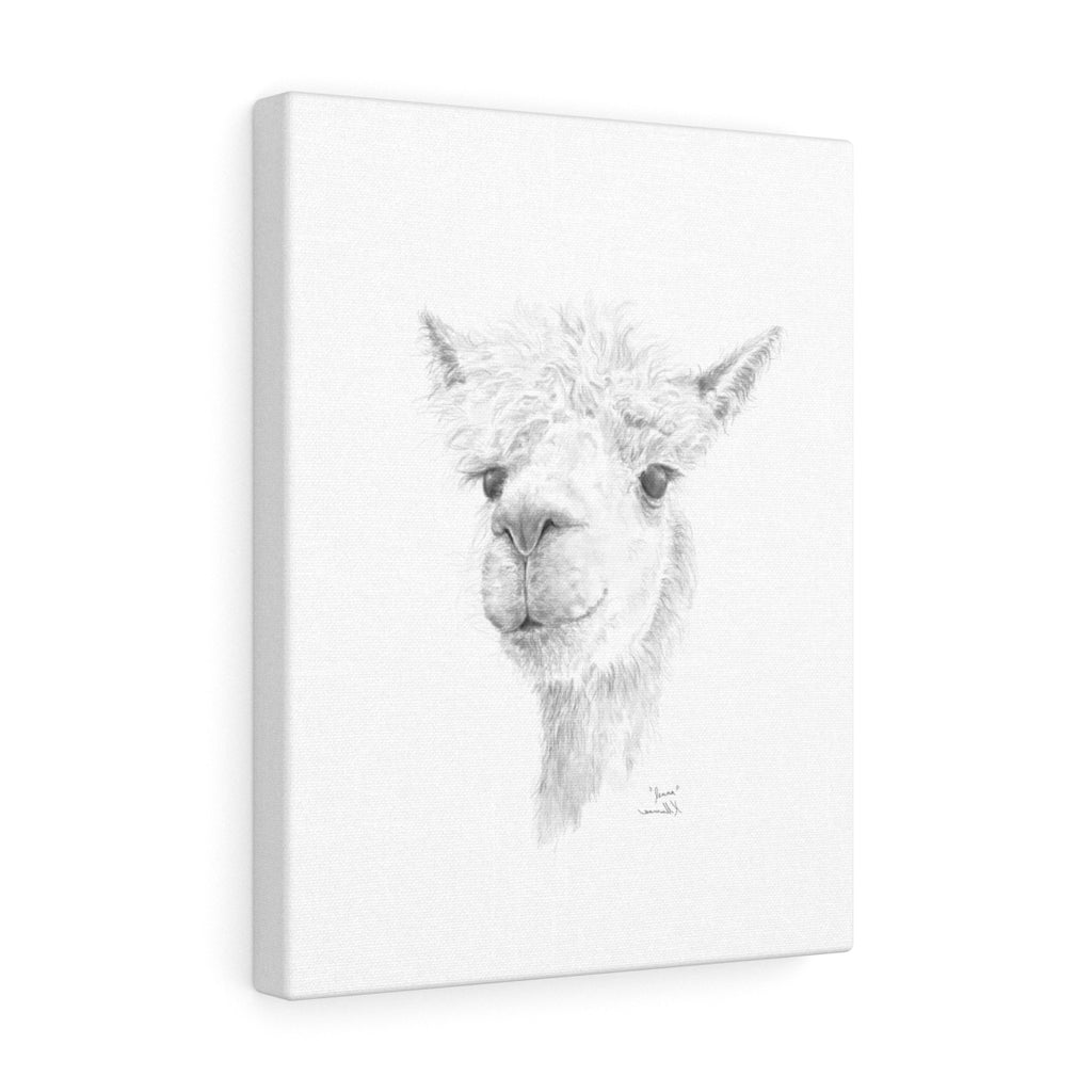 Jenna Llama - Art Canvas