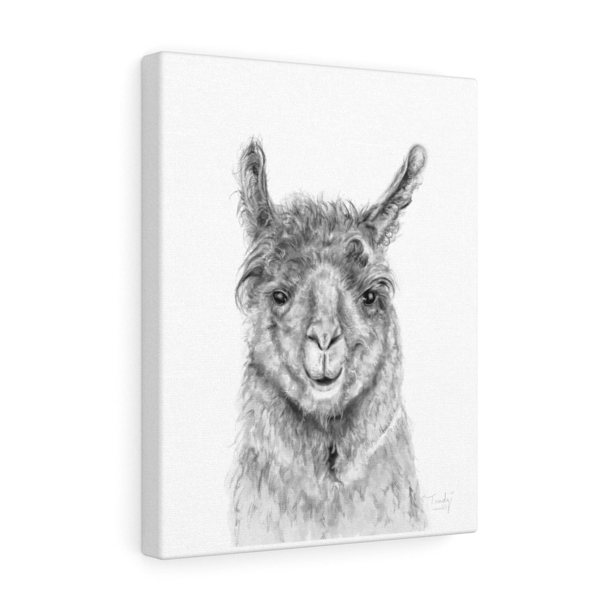 TRUDY Llama - Art Canvas