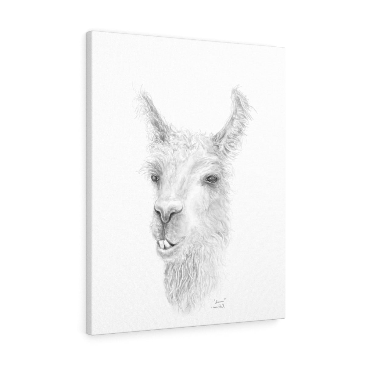 SHAUN Llama - Art Canvas