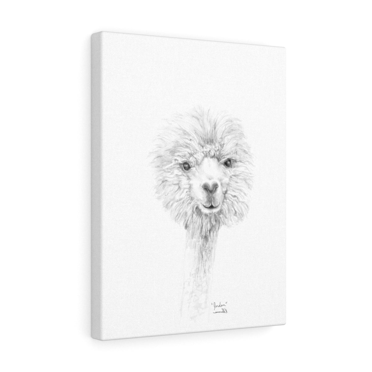 JORDAN Llama - Art Canvas
