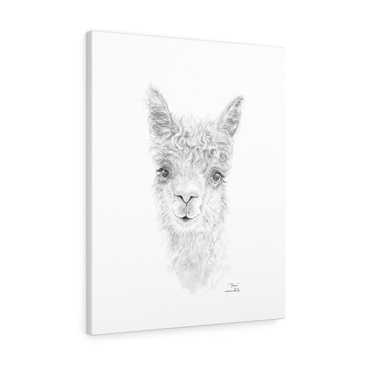DARA llama- Art Canvas