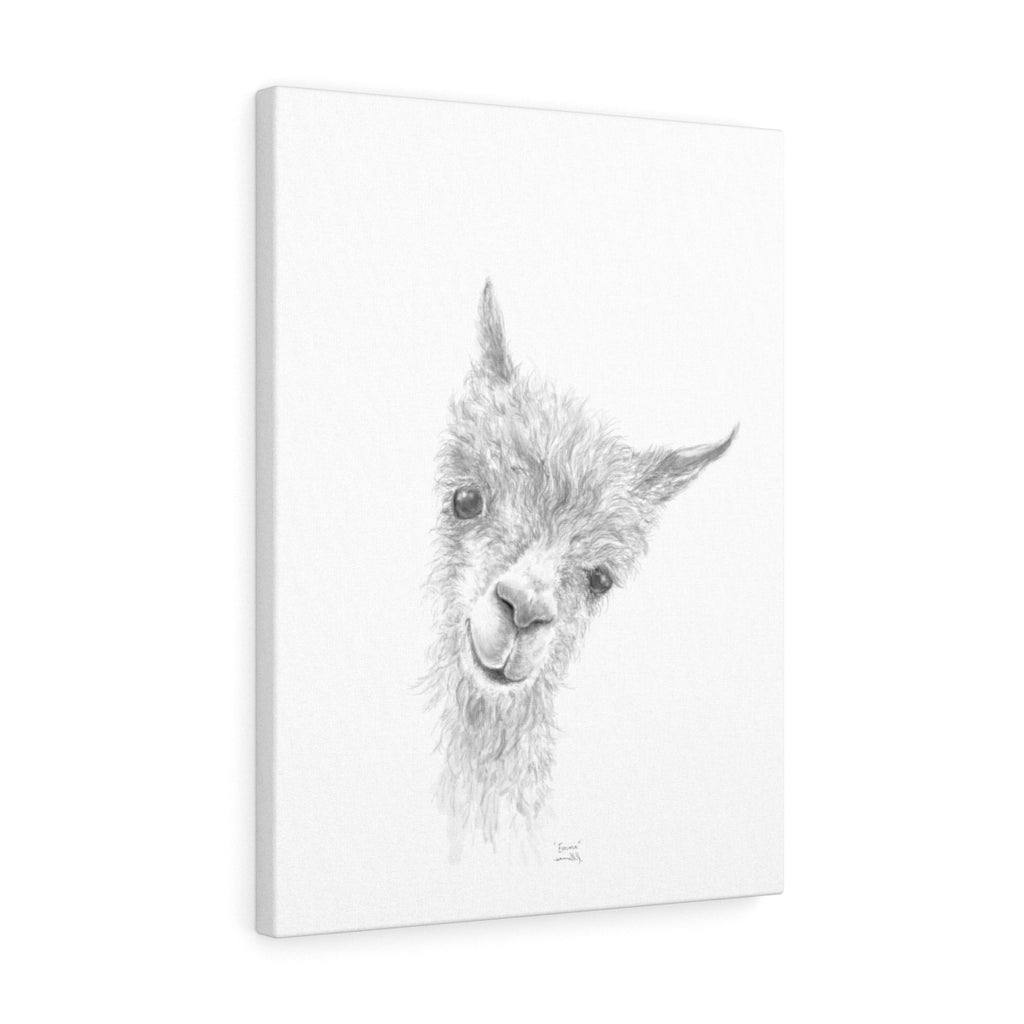 EMMA Llama - Art Canvas