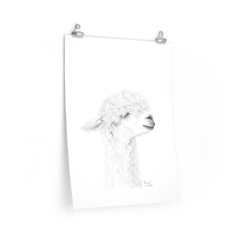 DANICA Llama- Art Paper Print