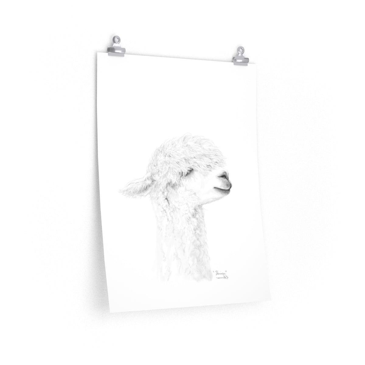 DANICA Llama- Art Paper Print