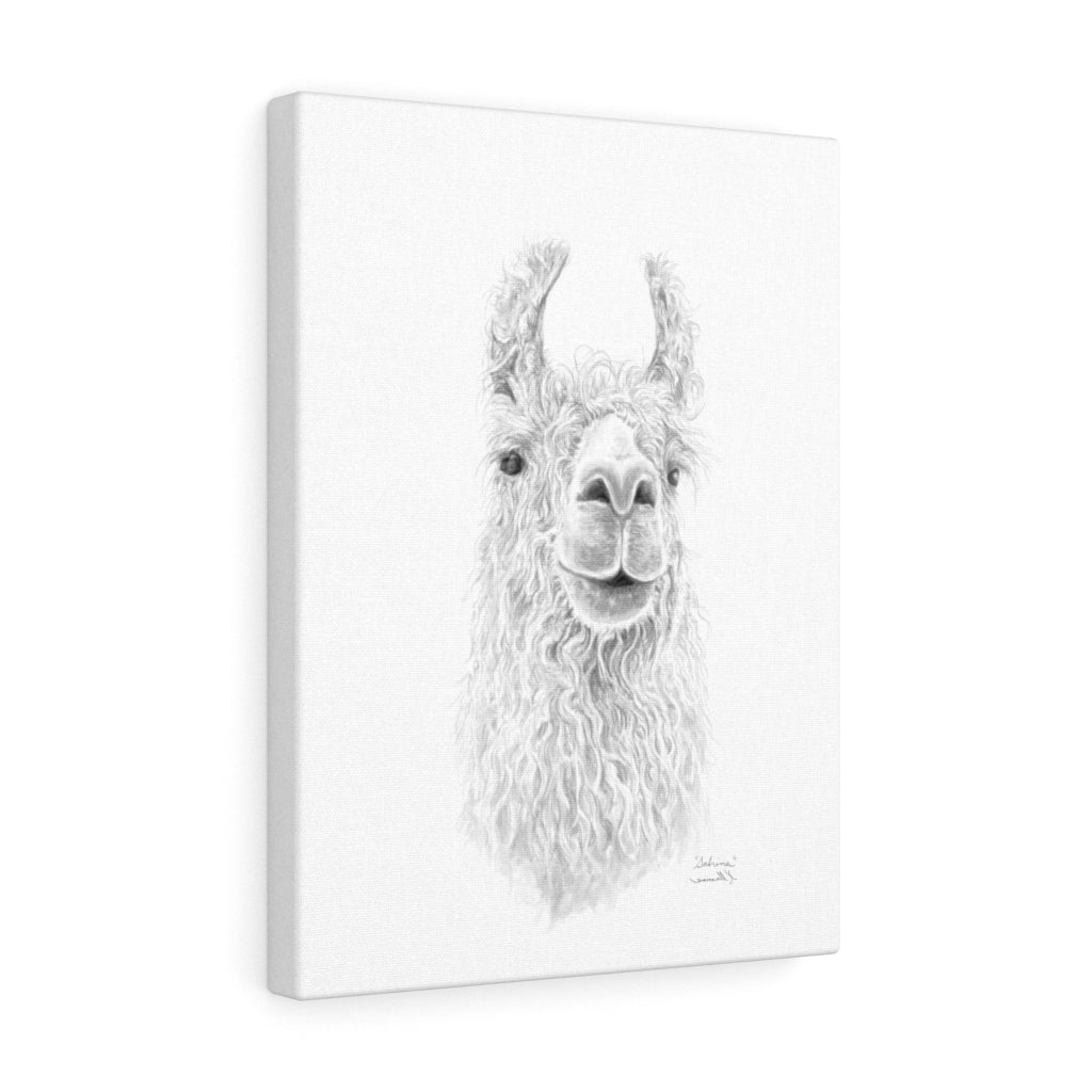 SABRINA Llama - Art Canvas