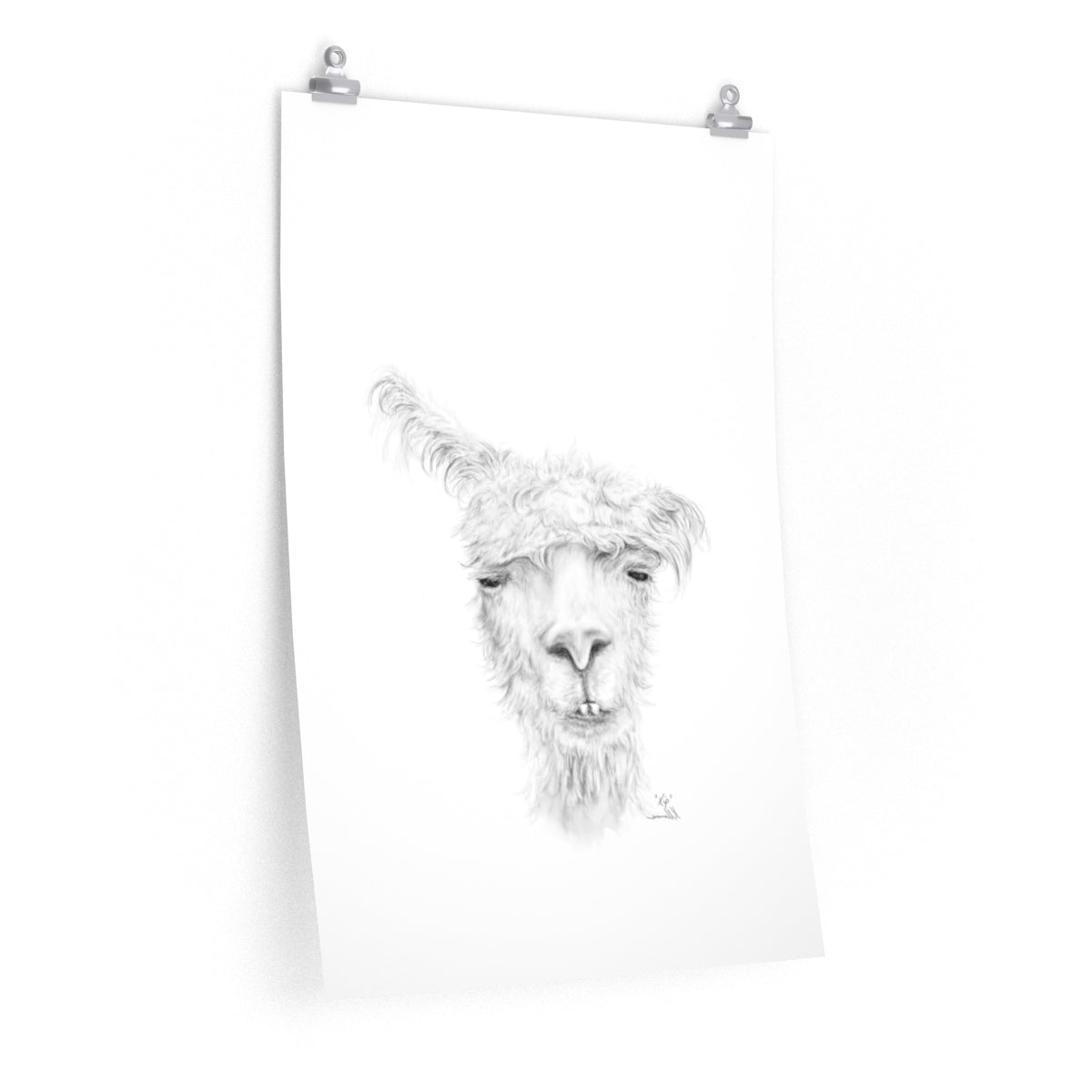 KIP Llama- Art Paper Print