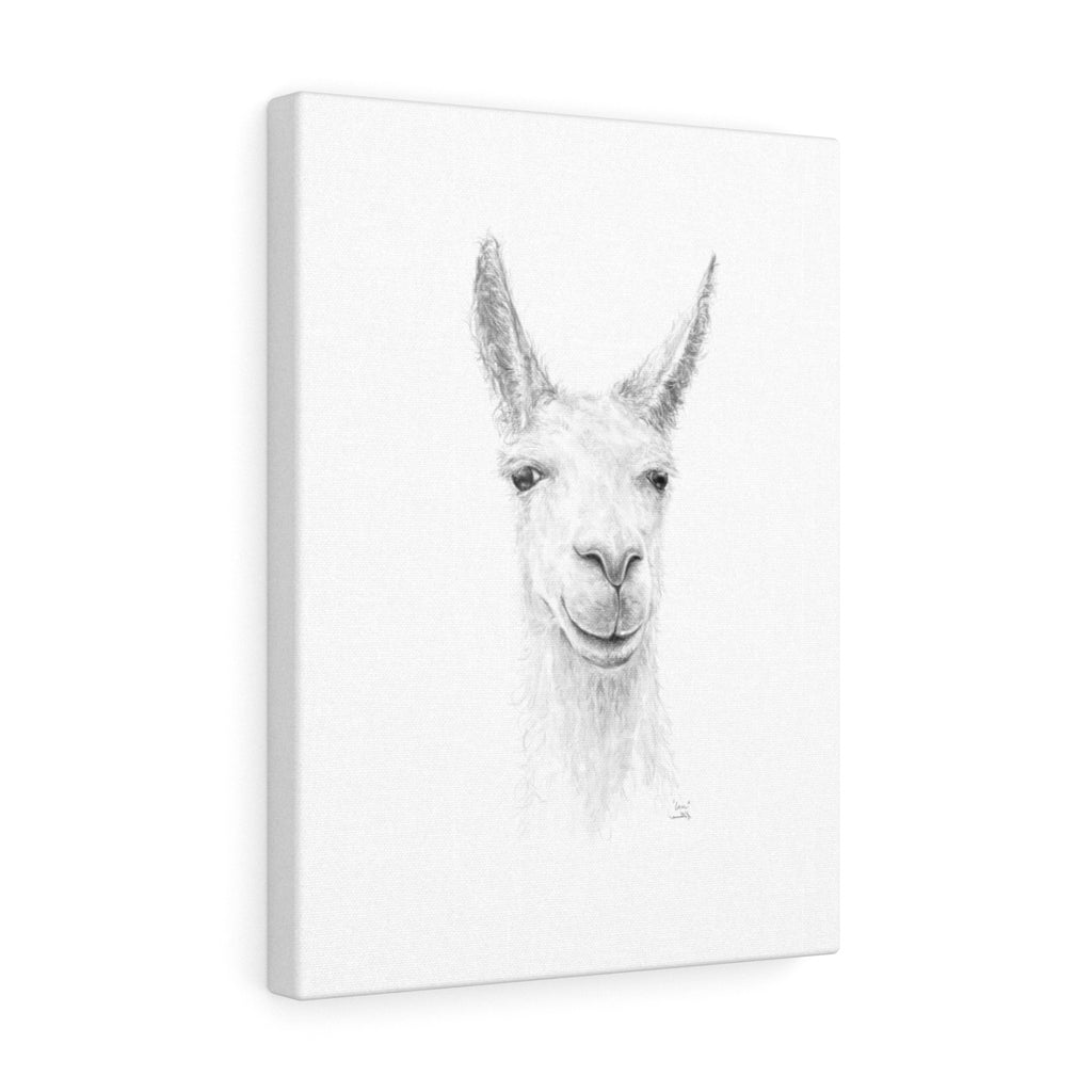 IAN Llama - Art Canvas