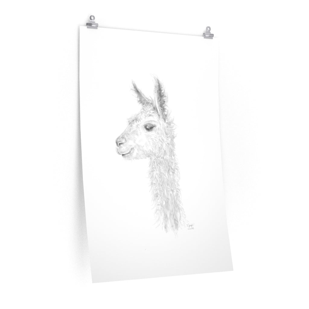 KYLEIGH Llama- Art Paper Print