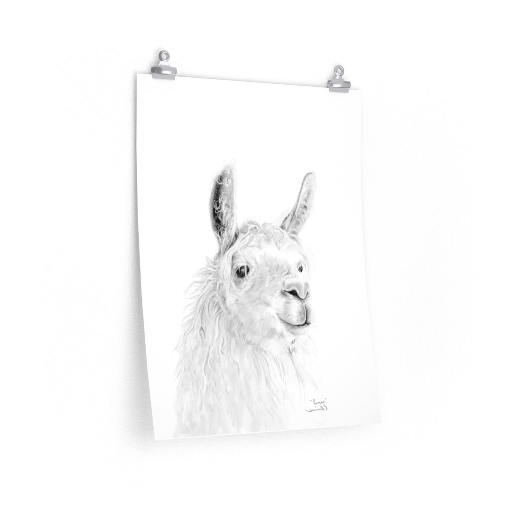 JAMES Llama- Art Paper Print