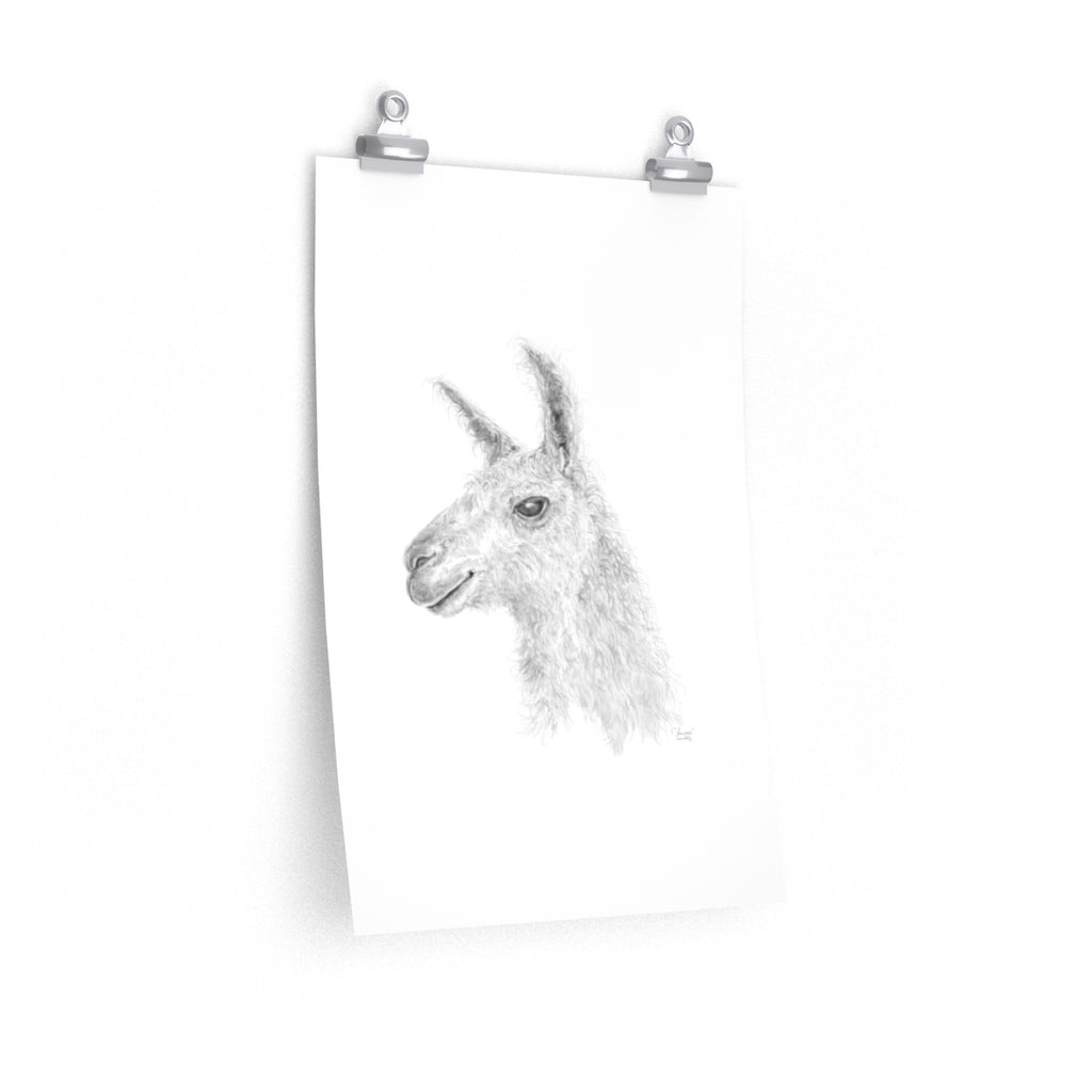 LENNOX Llama- Art Paper Print