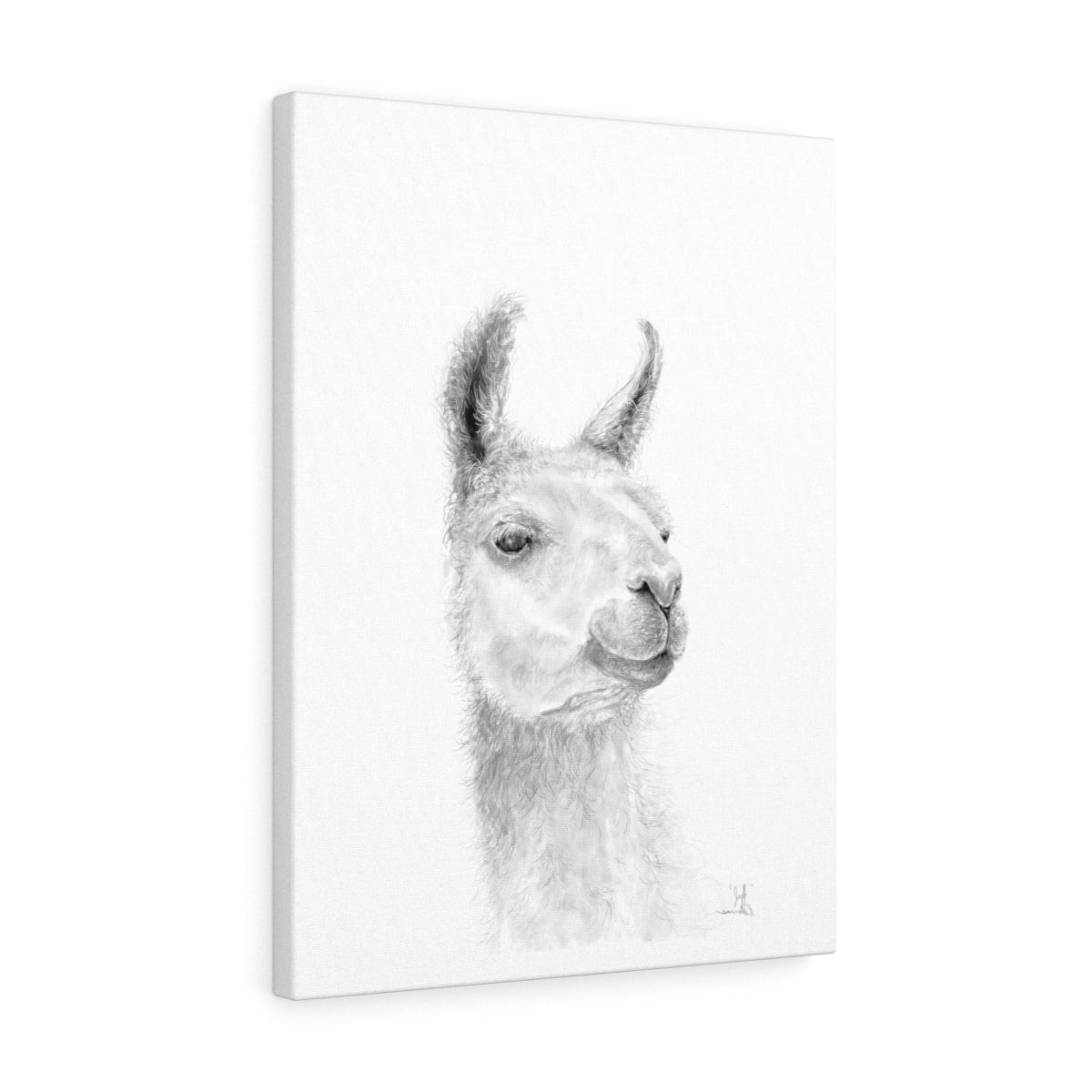 JEFF Llama - Art Canvas