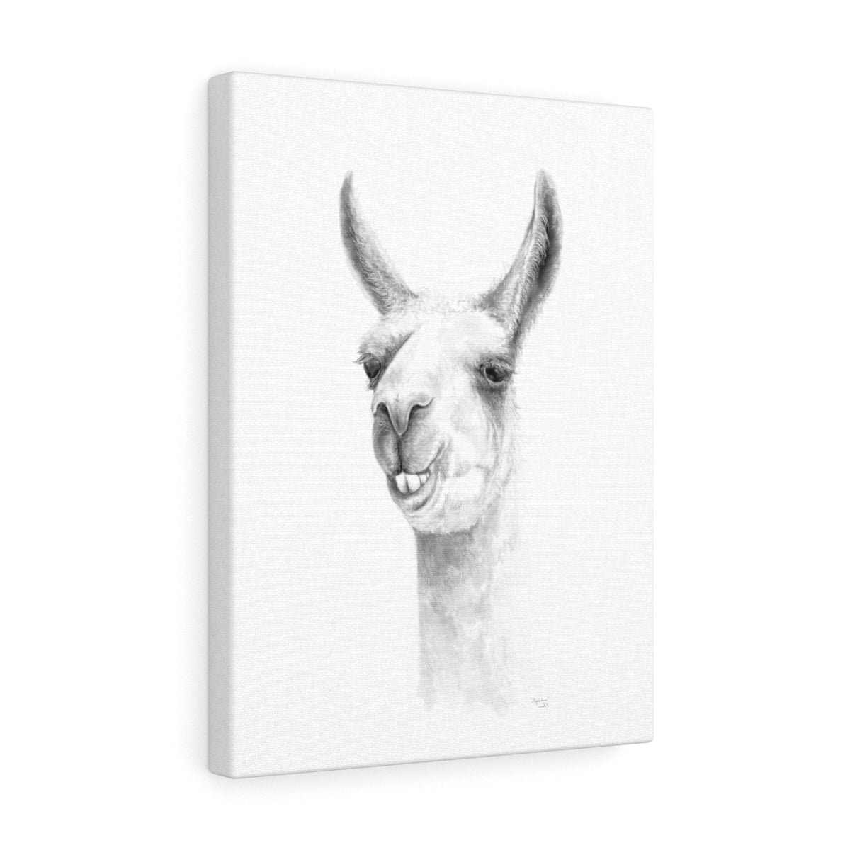 Magdalena Llama - Art Canvas