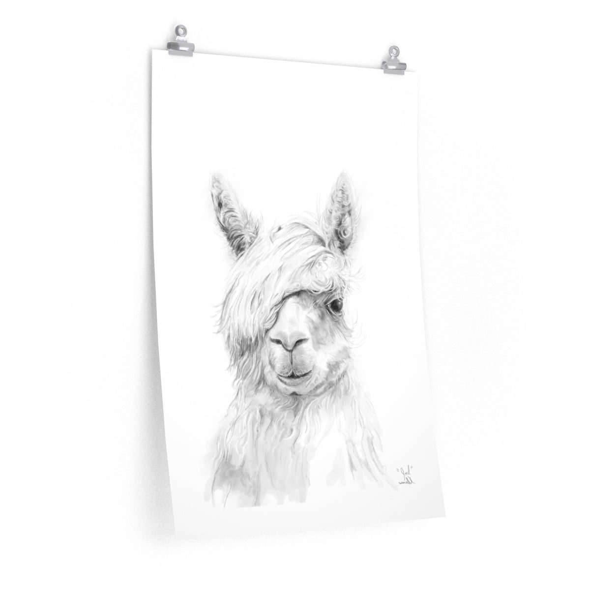 JOEL Llama- Art Paper Print