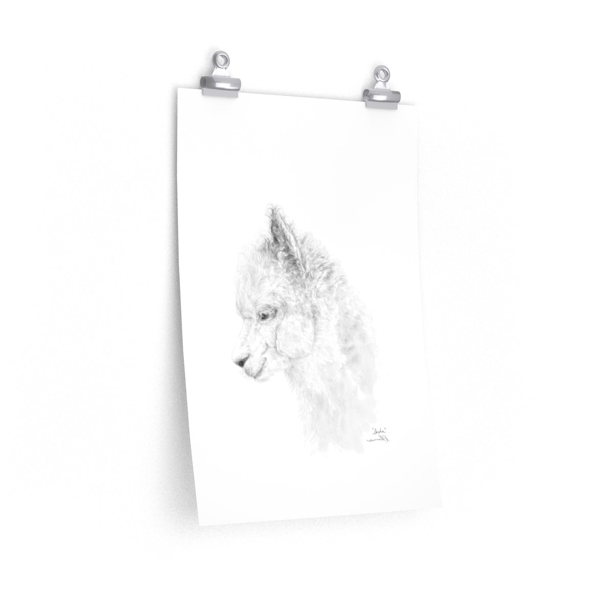 SASHA Llama- Art Paper Print