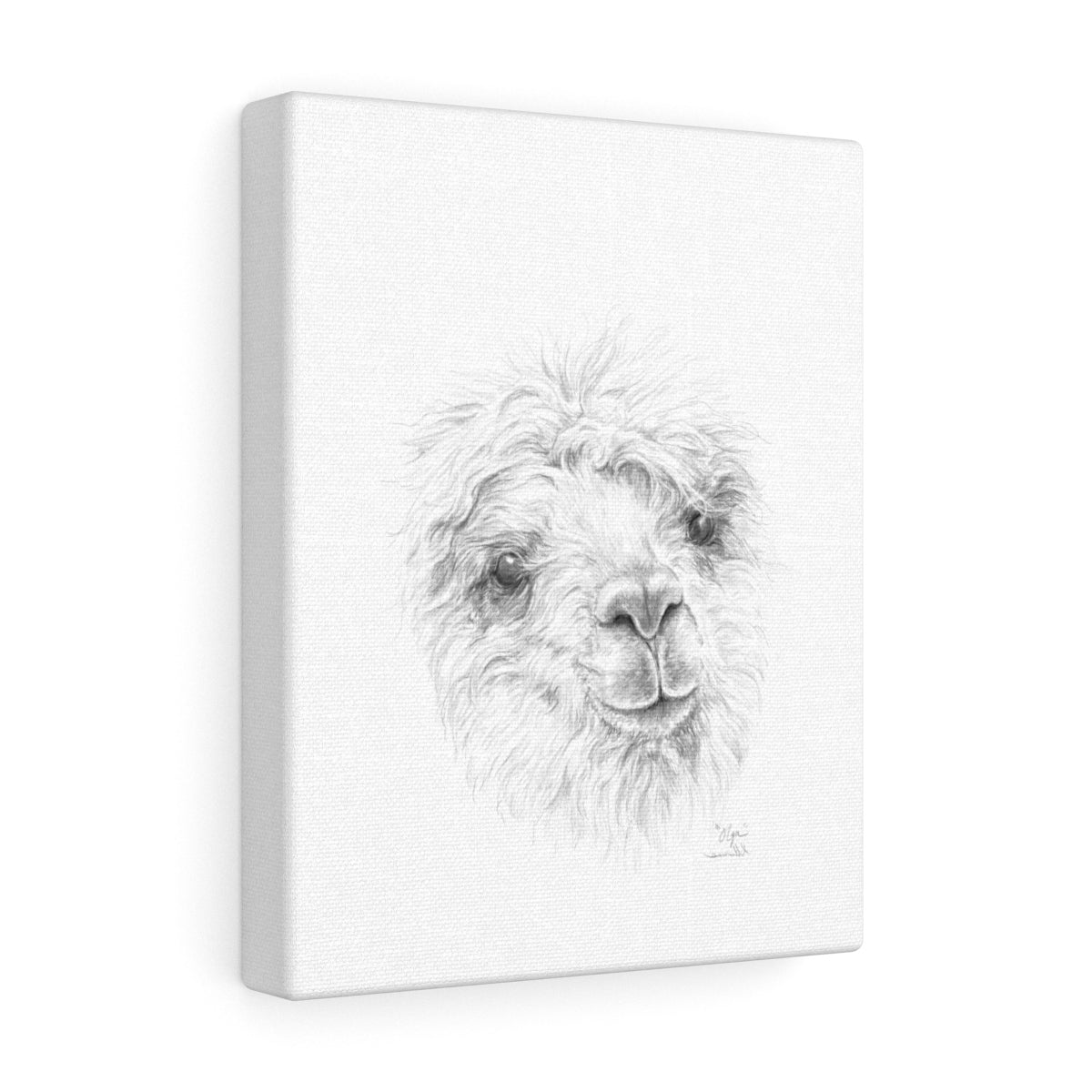 OLGA Llama - Art Canvas