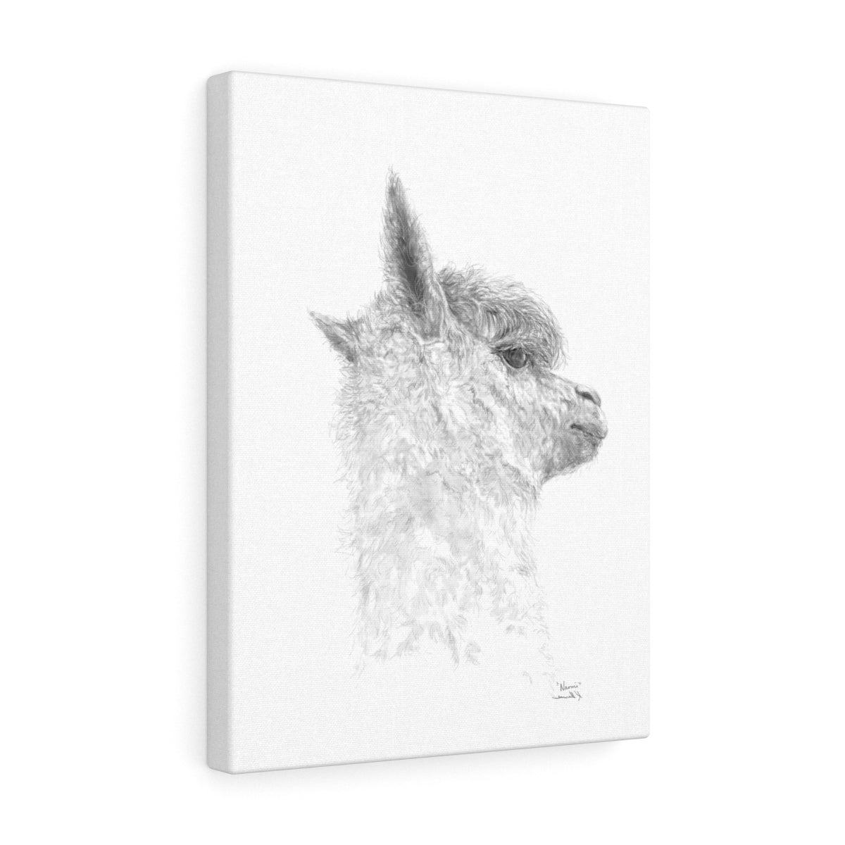 NAOMI Llama - Art Canvas