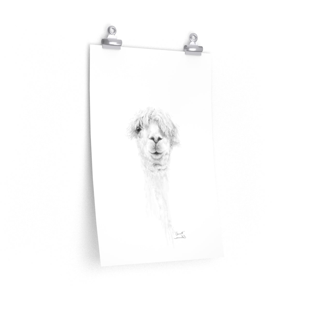 GARRETT Llama- Art Paper Print