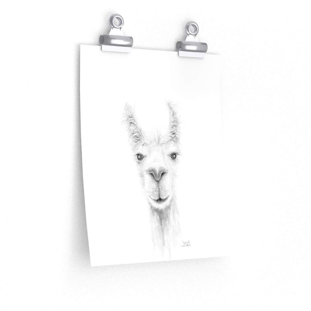 IZAIAH Llama- Art Paper Print