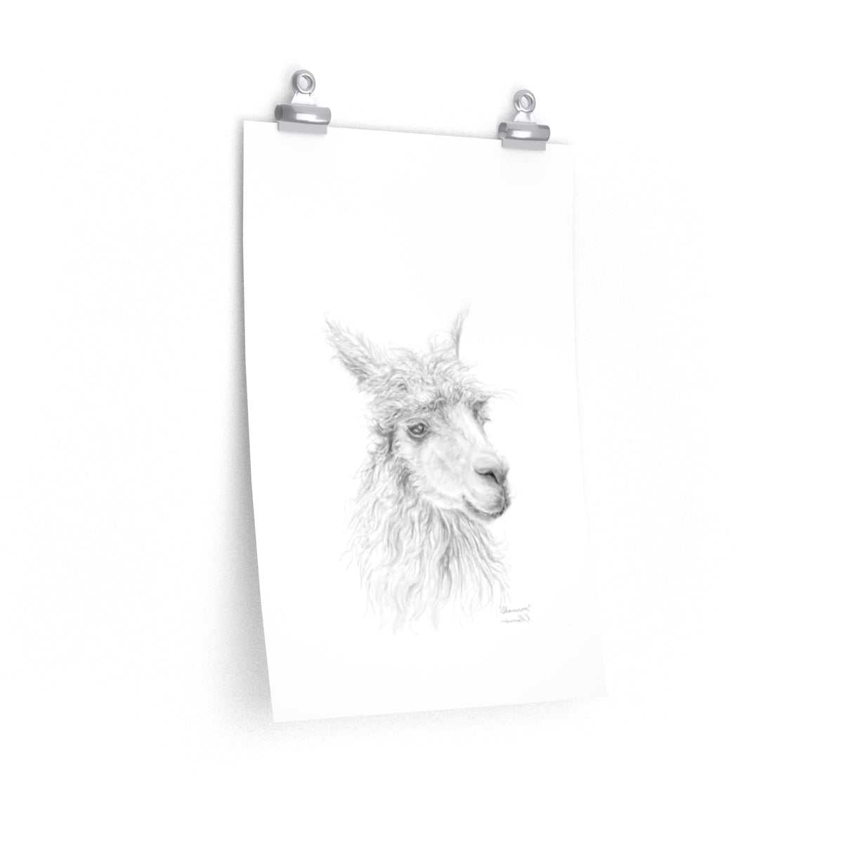 SHANNON Llama- Art Paper Print