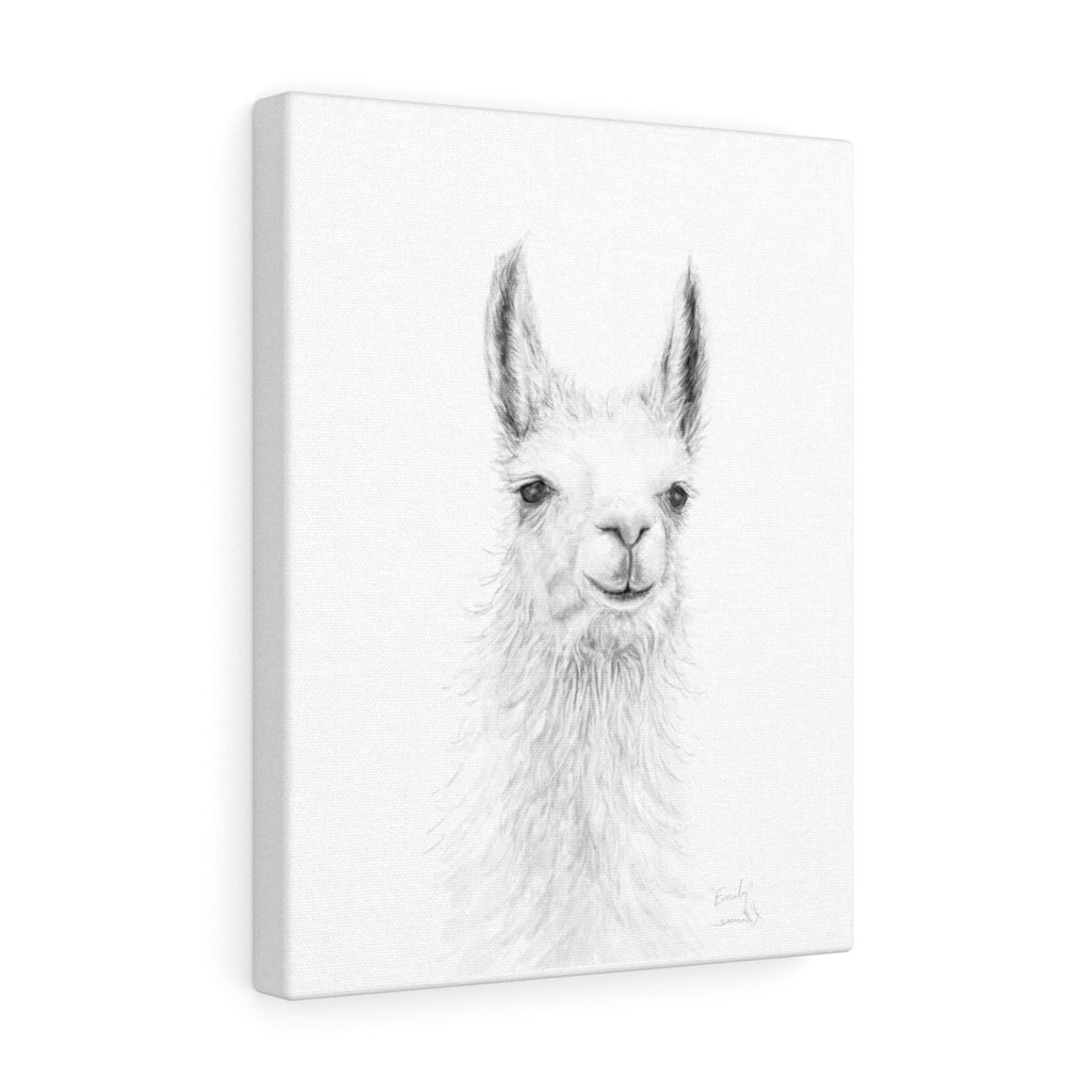 EMILY Llama - Art Canvas