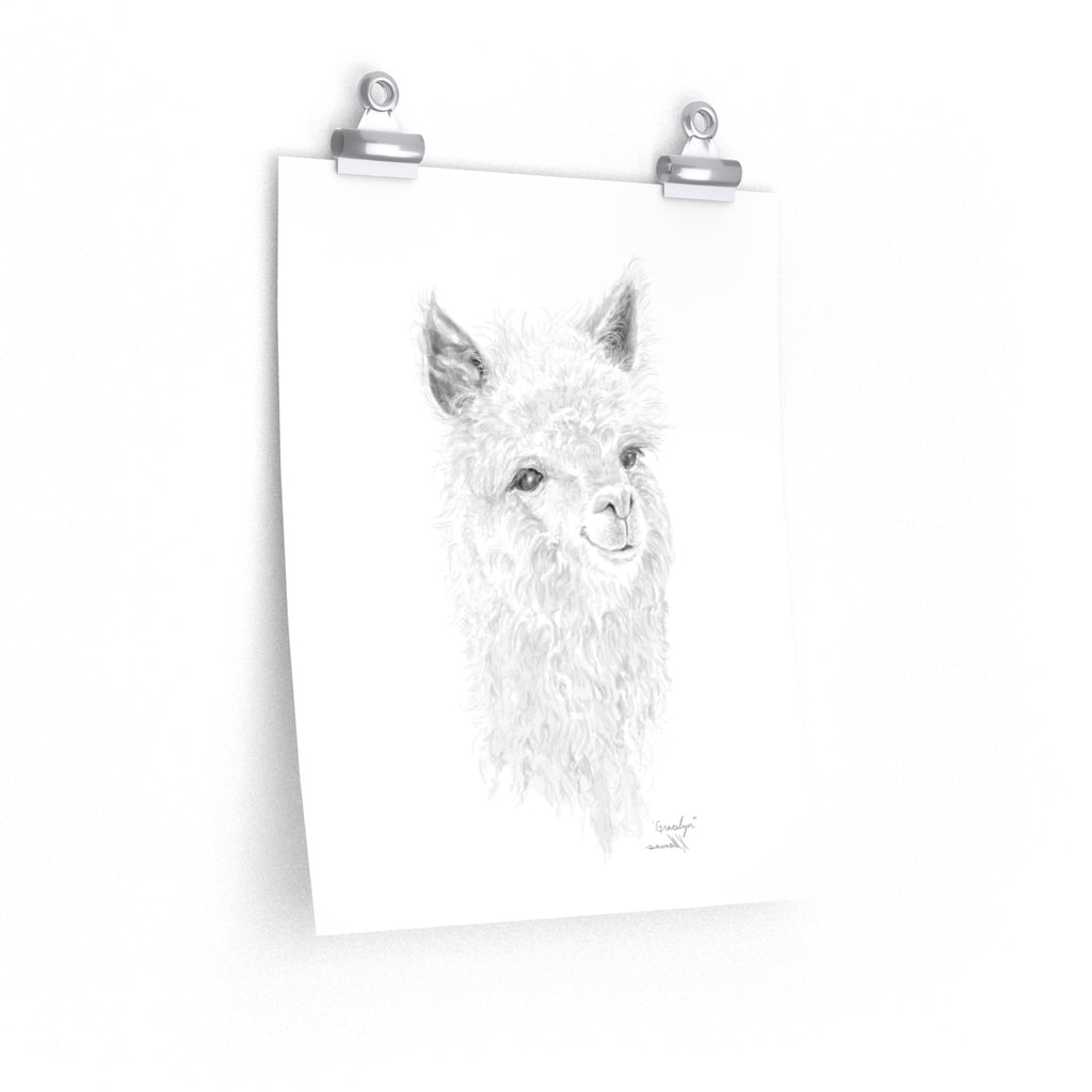 Gracelyn Llama- Art Paper Print