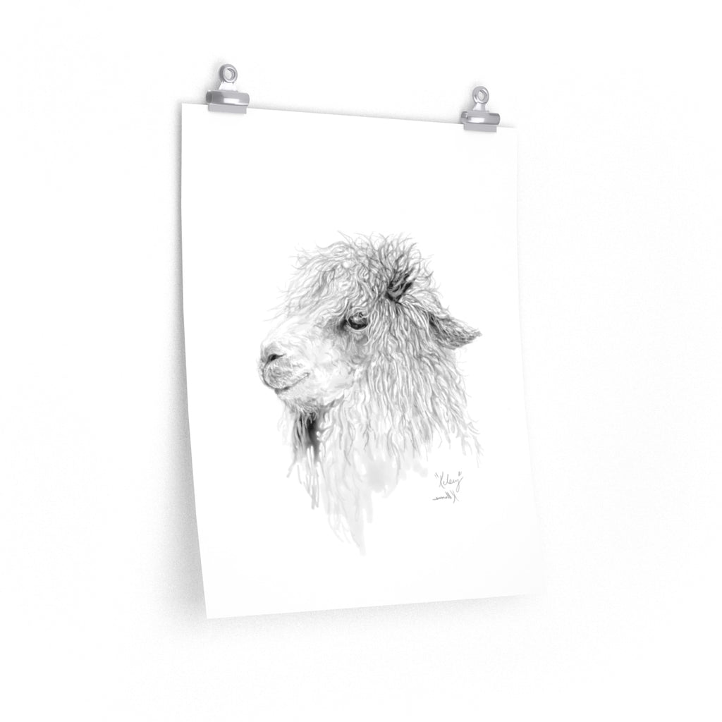 KELSEY Llama- Art Paper Print