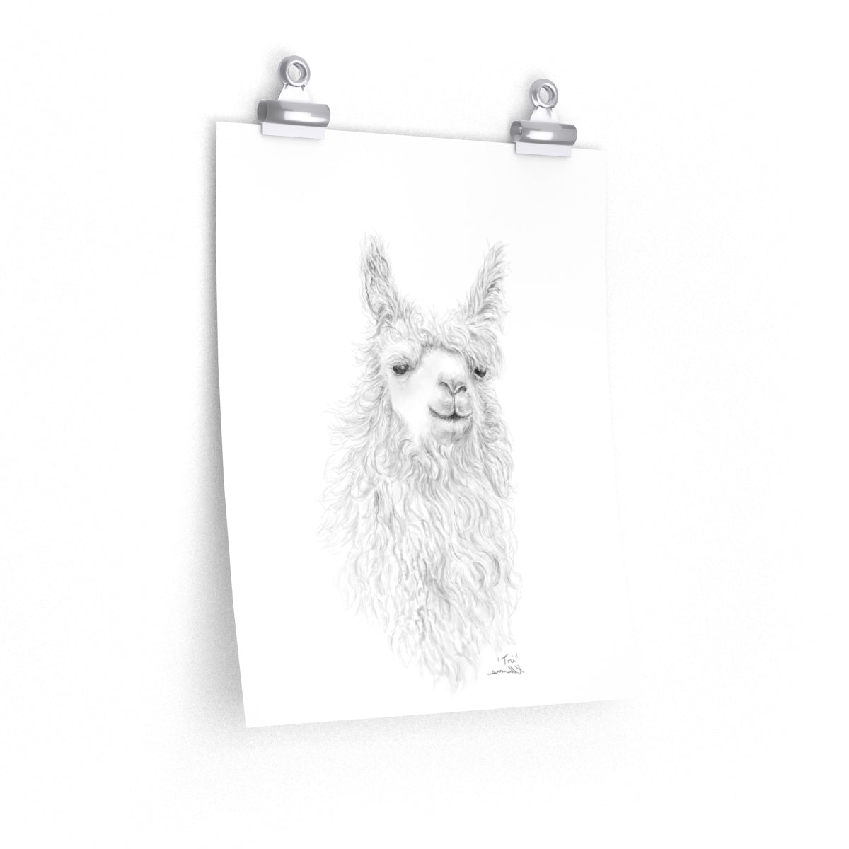 TORI Llama- Art Paper Print