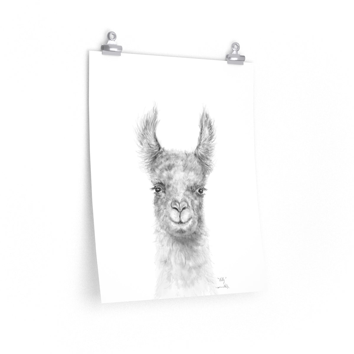 KELLY Llama- Art Paper Print
