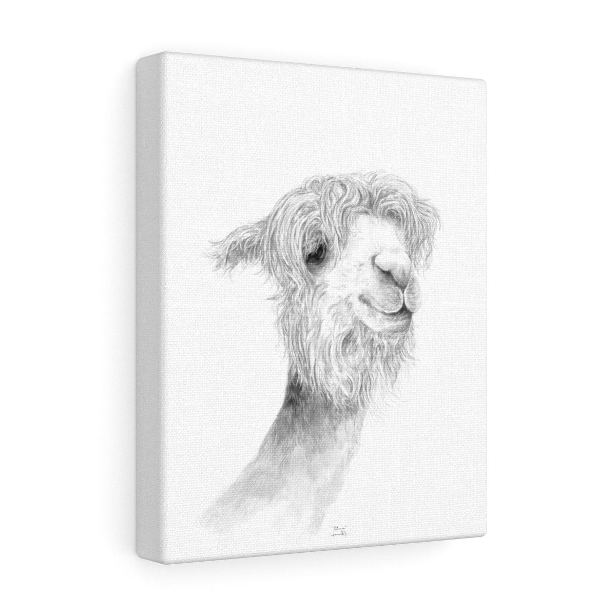 PATRICIA Llama - Art Canvas