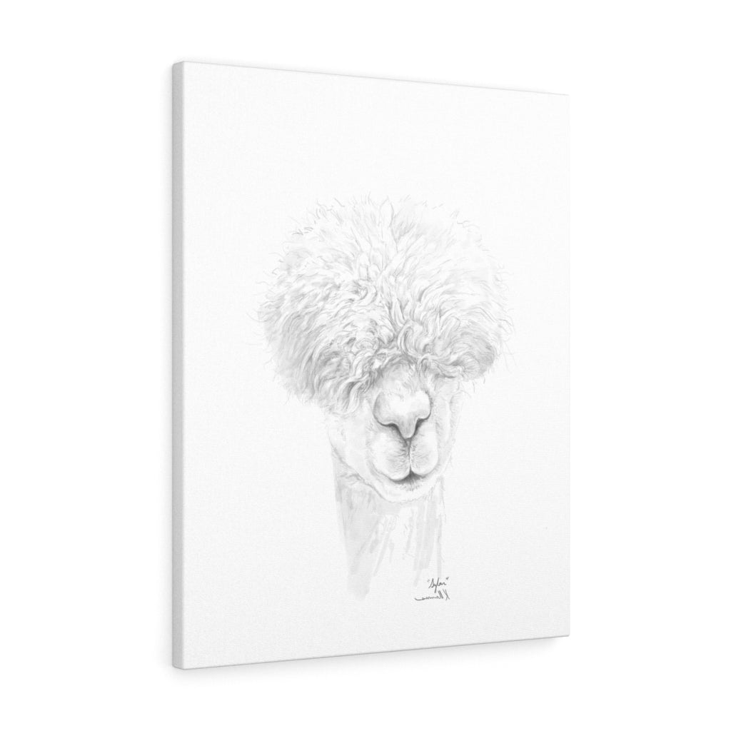 SYLAR Llama - Art Canvas