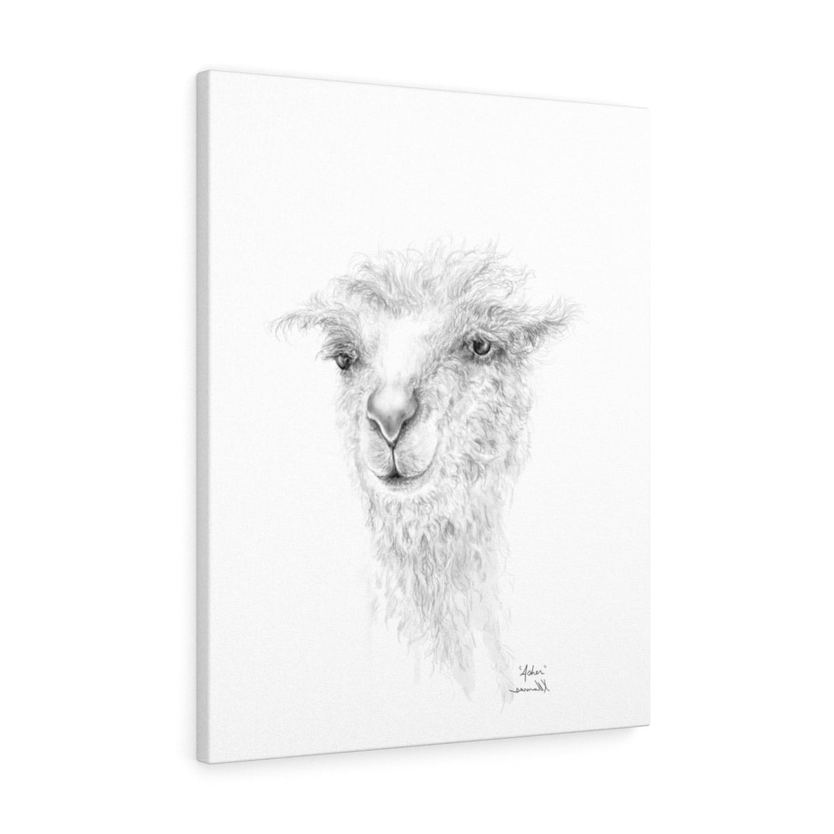 ASHER llama- Art Canvas