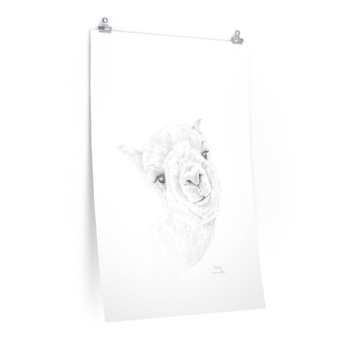 MARTHA Llama- Art Paper Print